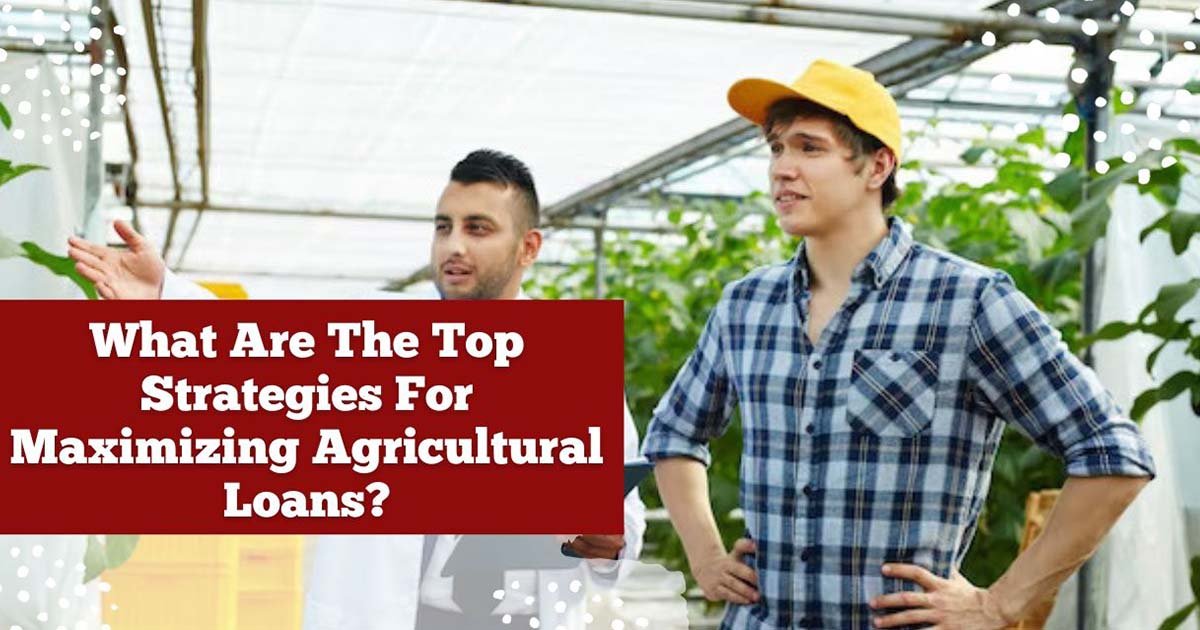 What Are The Top Strategies For Maximizing Agricultural Loans