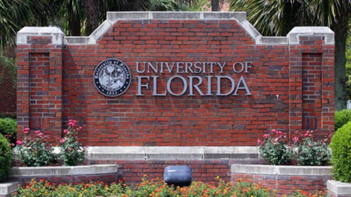 University Of Florida